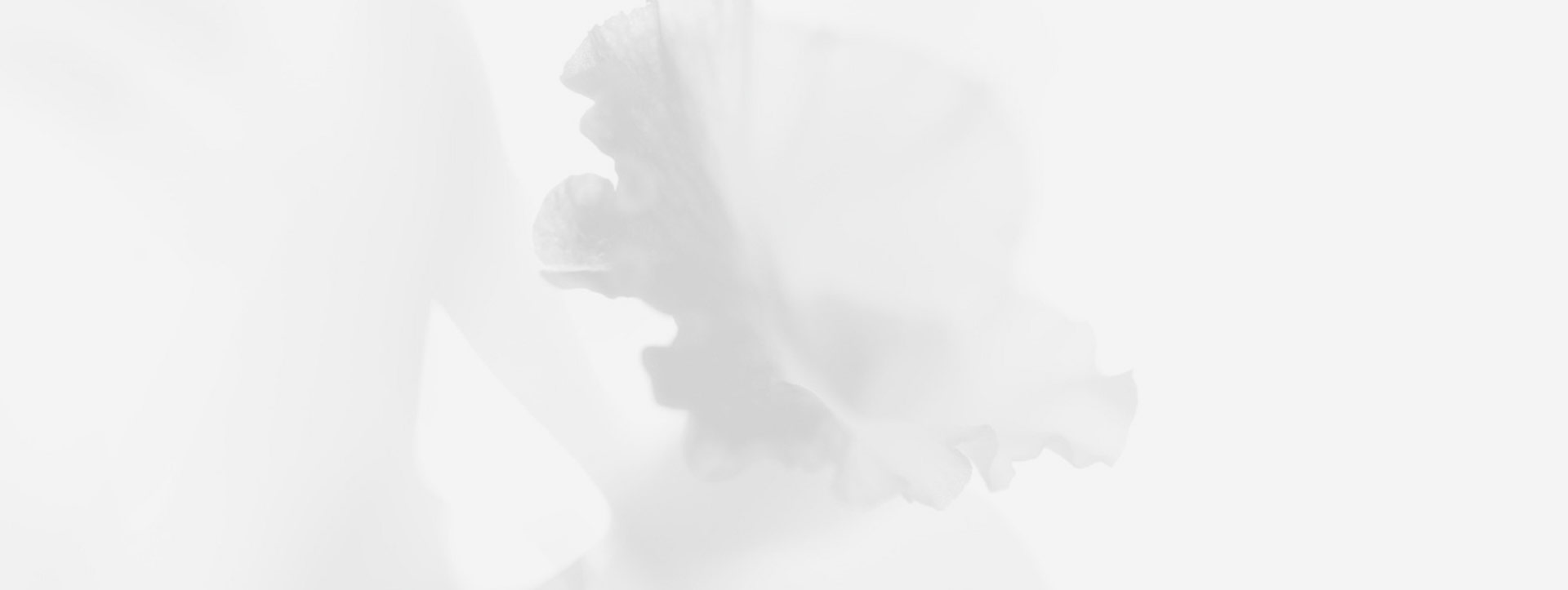 imgboxbg imgboxbg